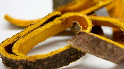 chua-viem-dai-trang-031